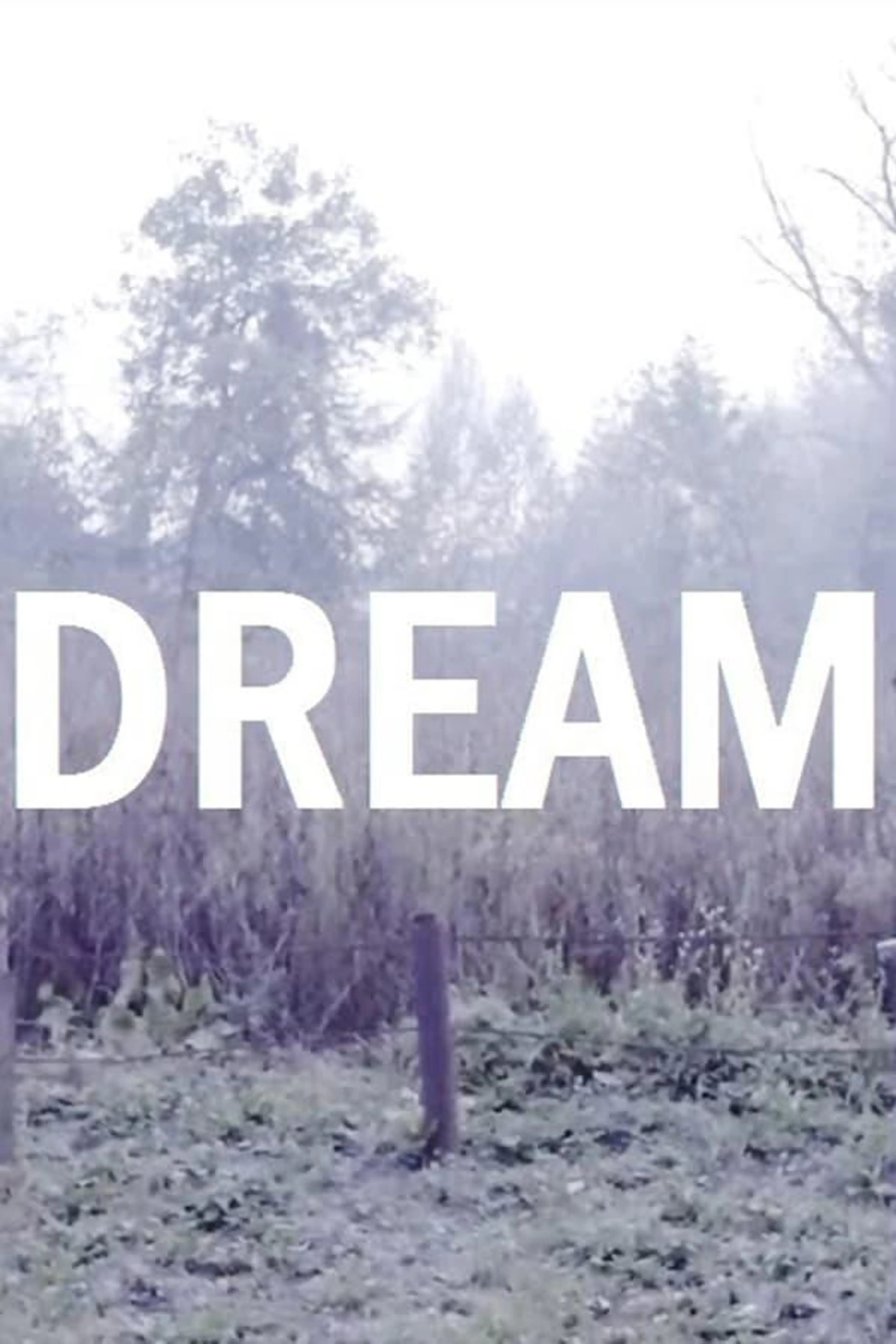 Dream