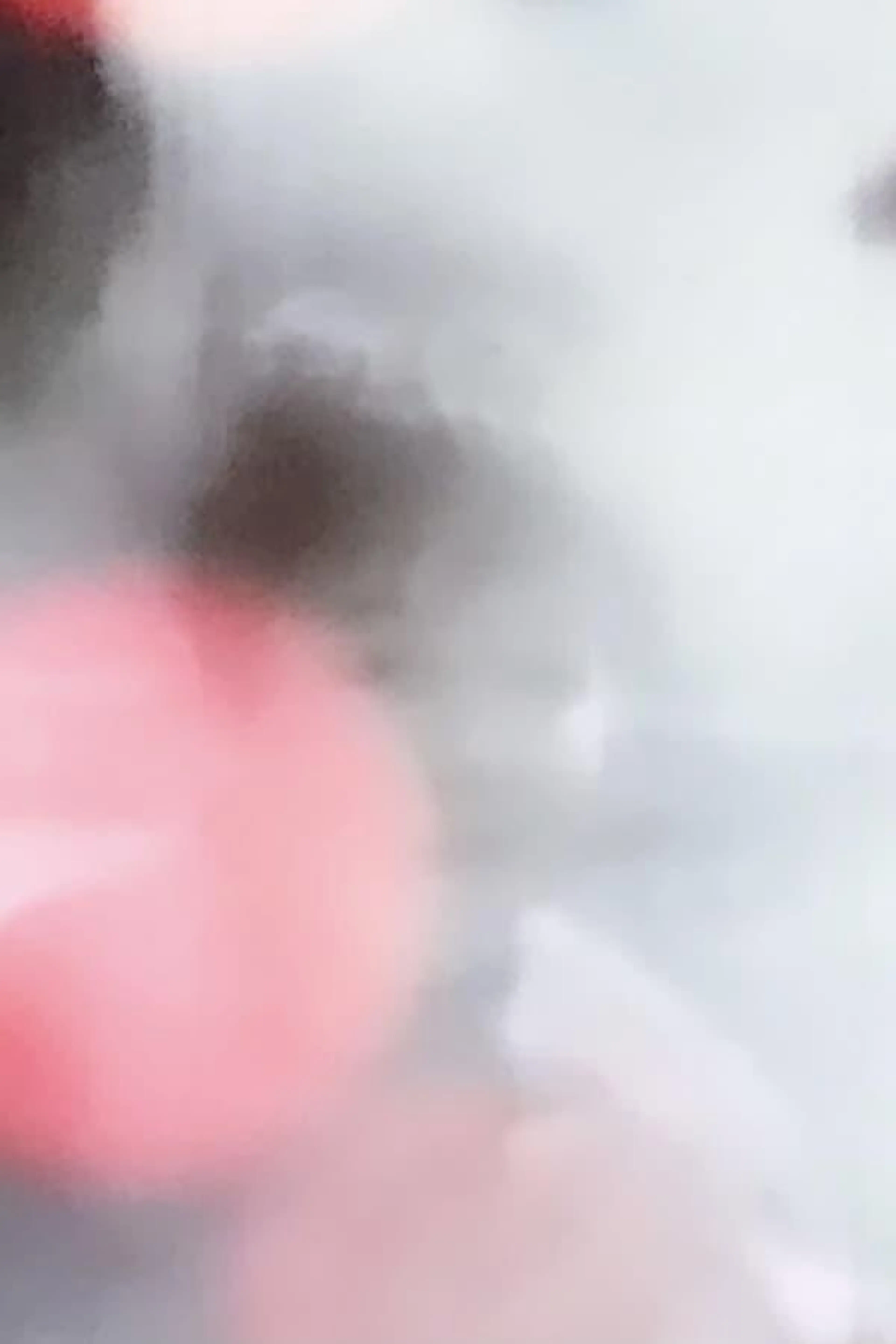 SYUNSOKU 3