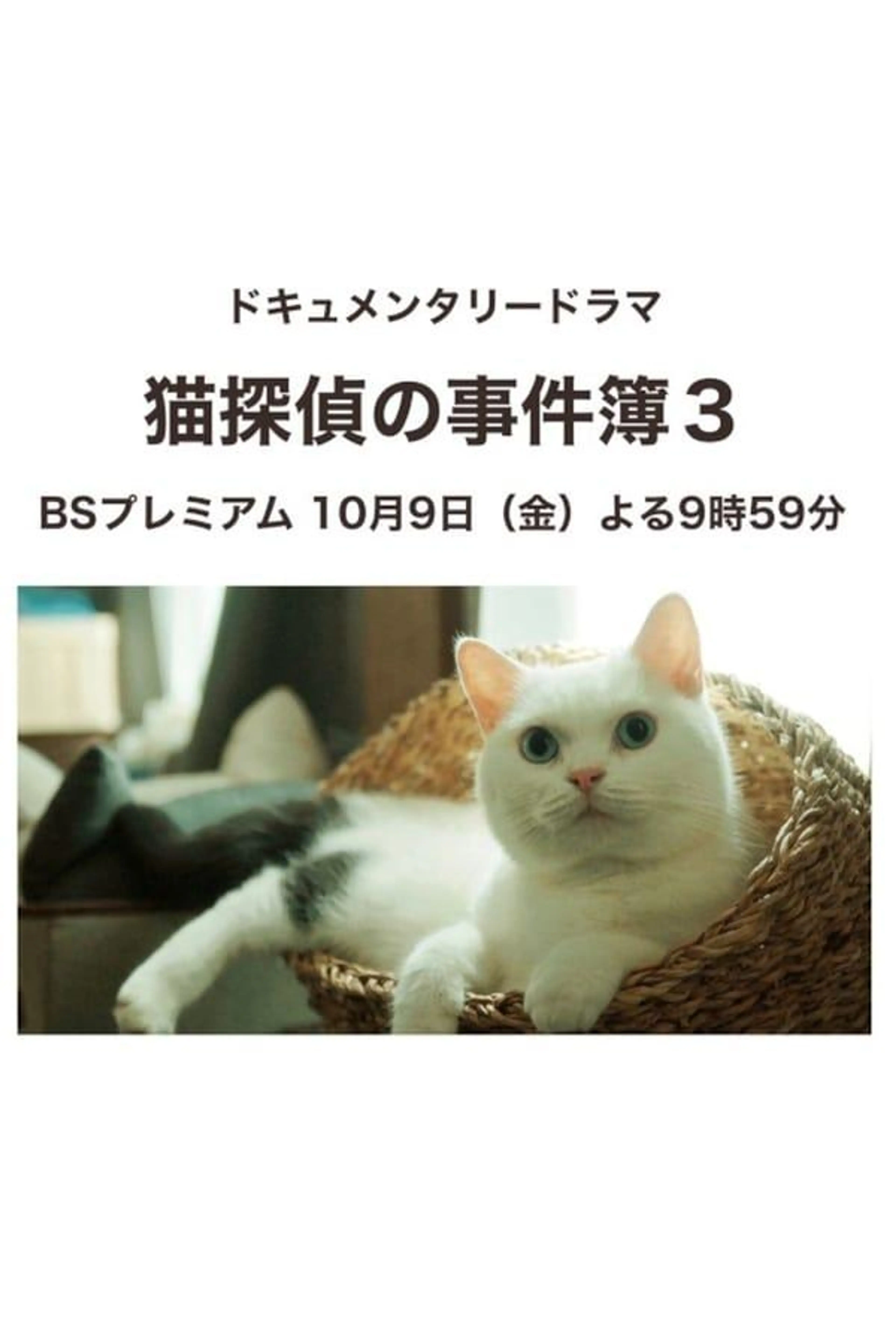 Neko Tantei no Jikenbo 3 Specials