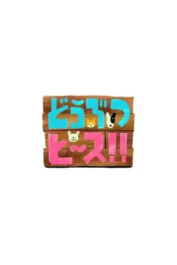 Doubutsu Peace Season 1