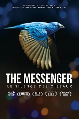 Le Silence des oiseaux Season 1