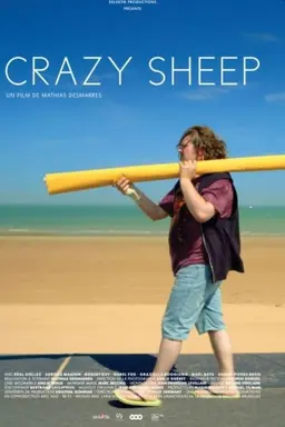 Crazy Sheep