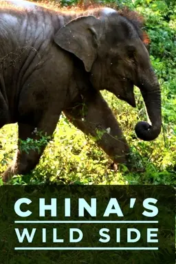 China's Wild Side Season 1