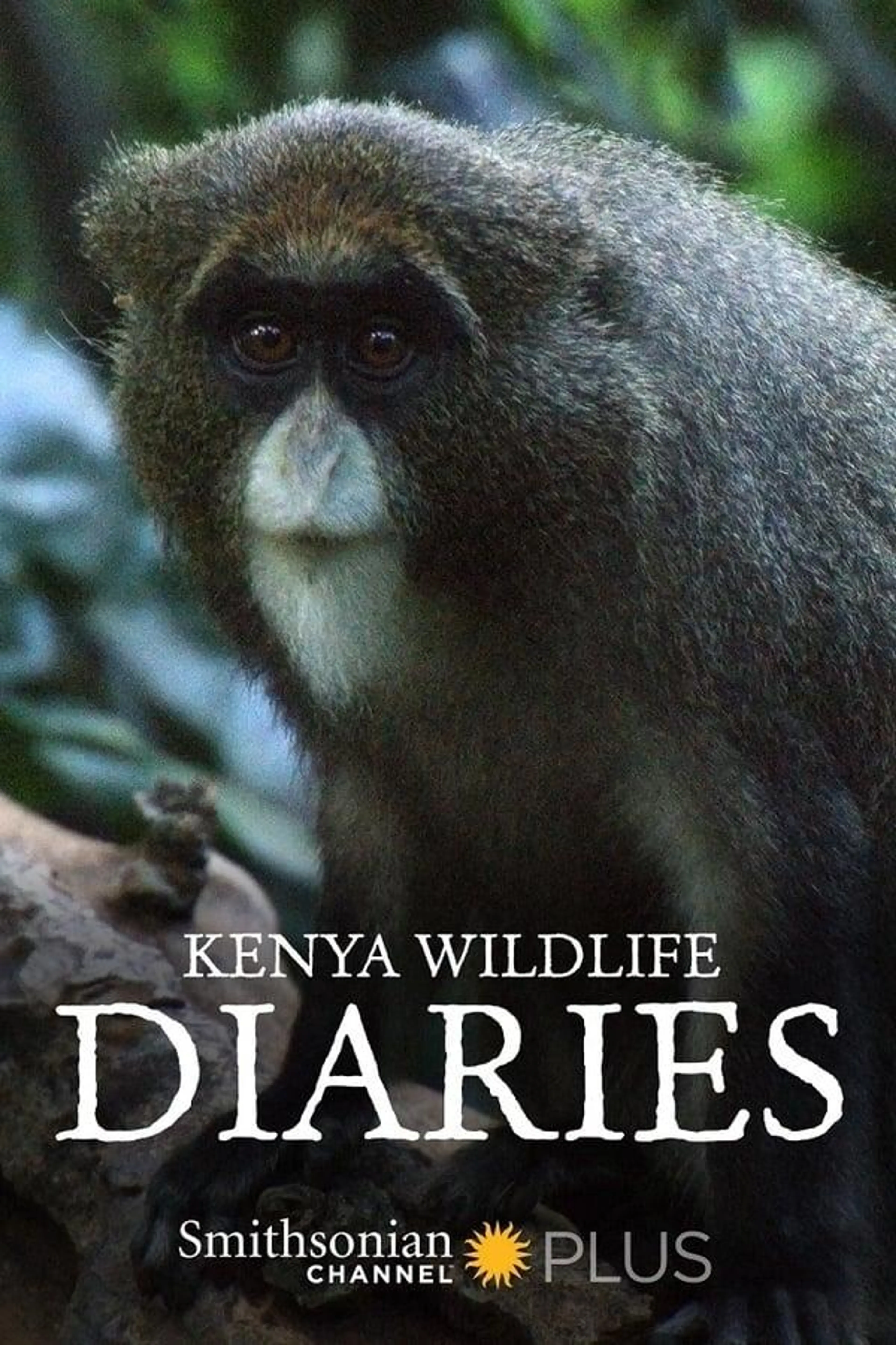 Kenya Wildlife Diaries Season 1