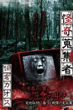 Mysterious Collector Kaosu Sumikura