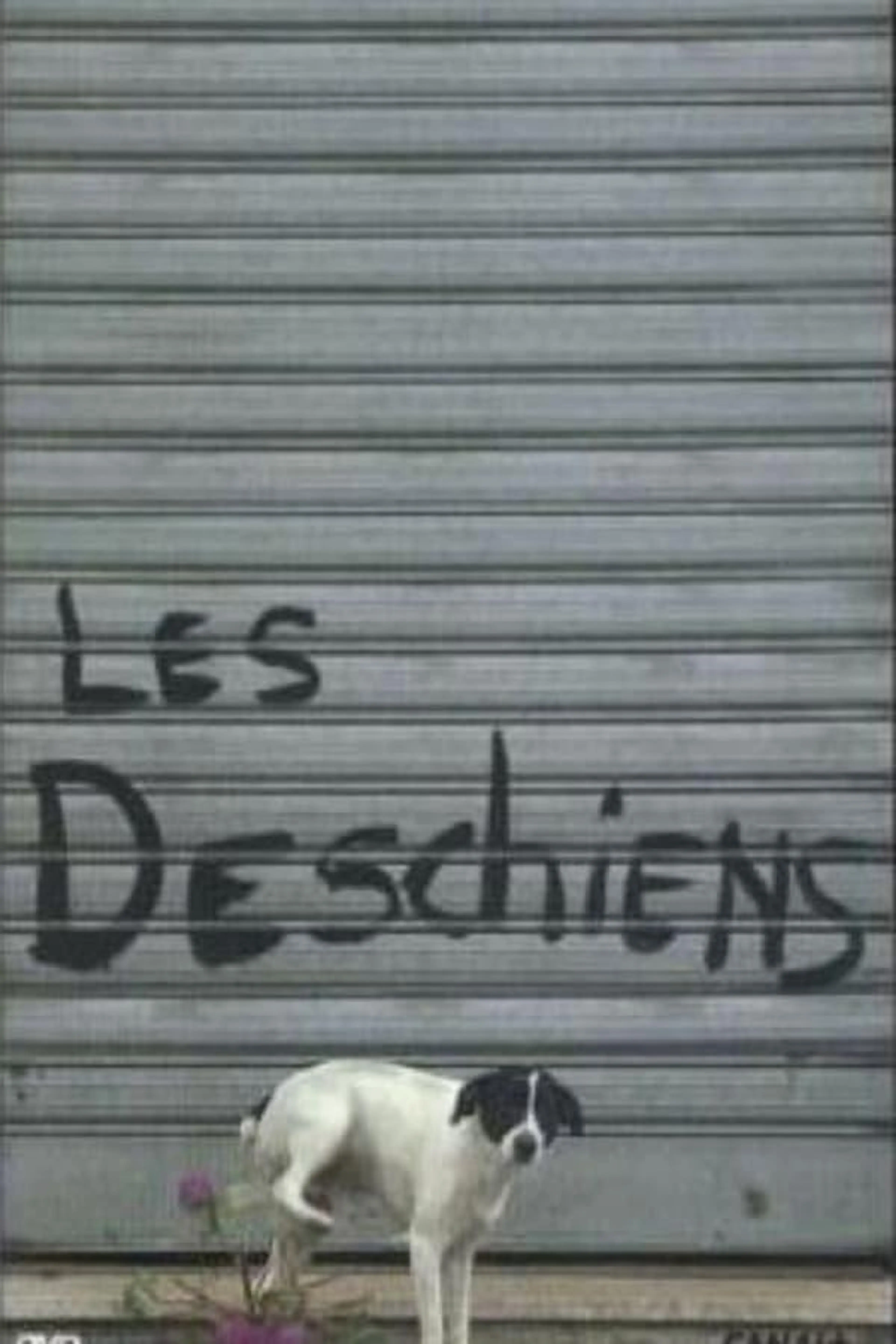 Les Deschiens Season 2