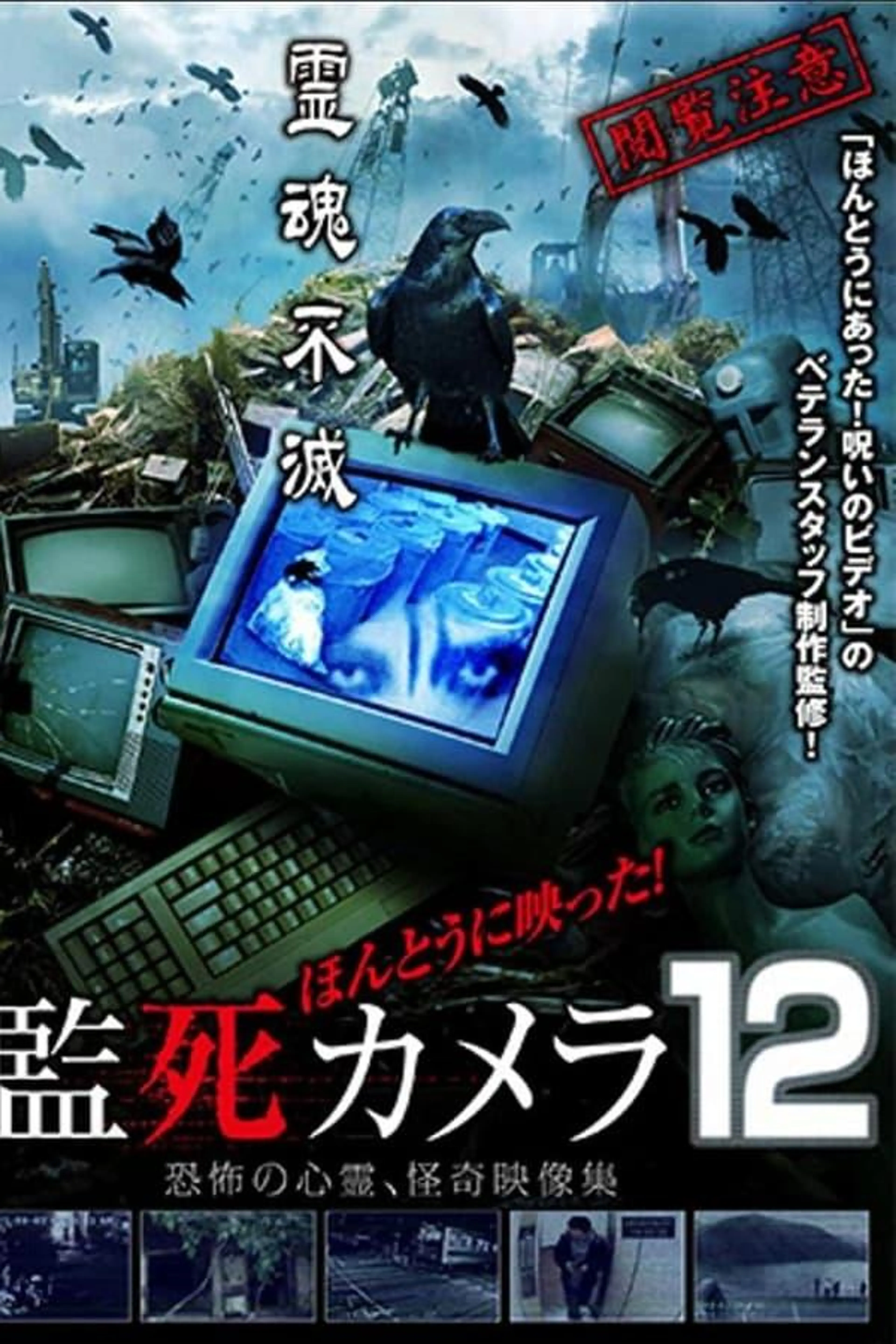 Paranormal Surveillance Camera 12