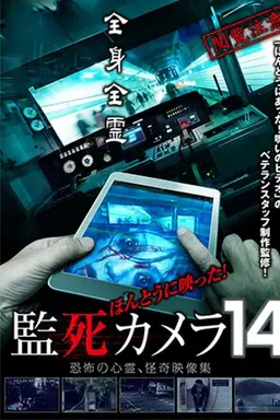 Paranormal Surveillance Camera 14