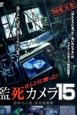 Paranormal Surveillance Camera 15