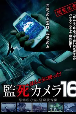 Paranormal Surveillance Camera 16