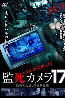 Paranormal Surveillance Camera 17