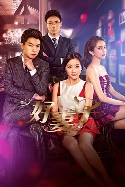 Good Wife Season 1