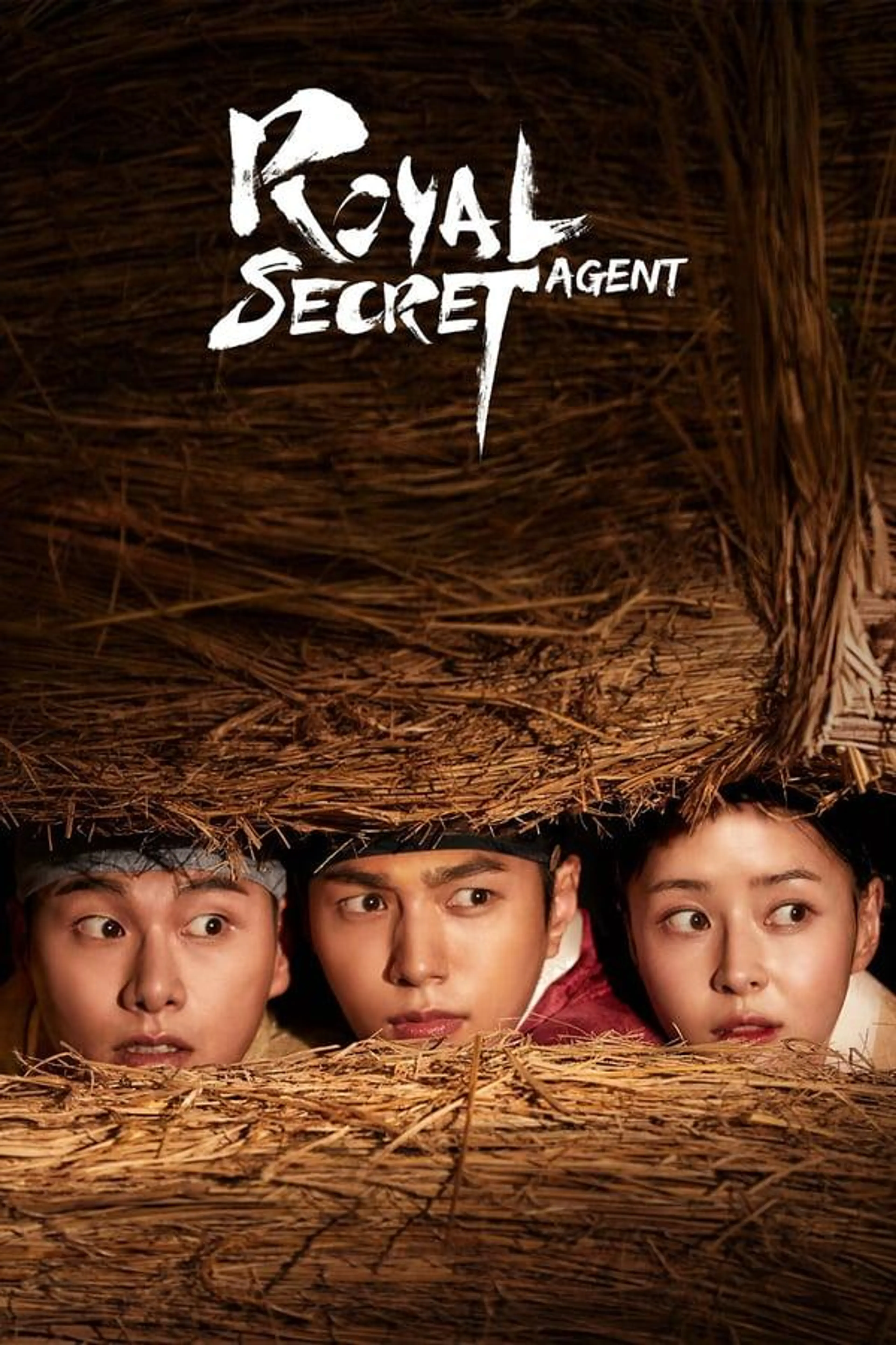 Royal Secret Agent Season 1