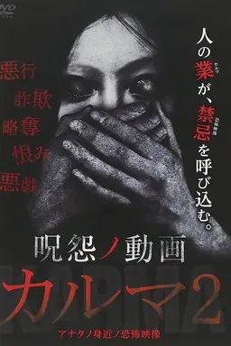 The Grudge: Video Karma 2