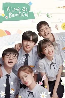 A Love So Beautiful Season 1