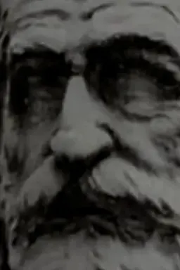 Di Verdi Si Muore