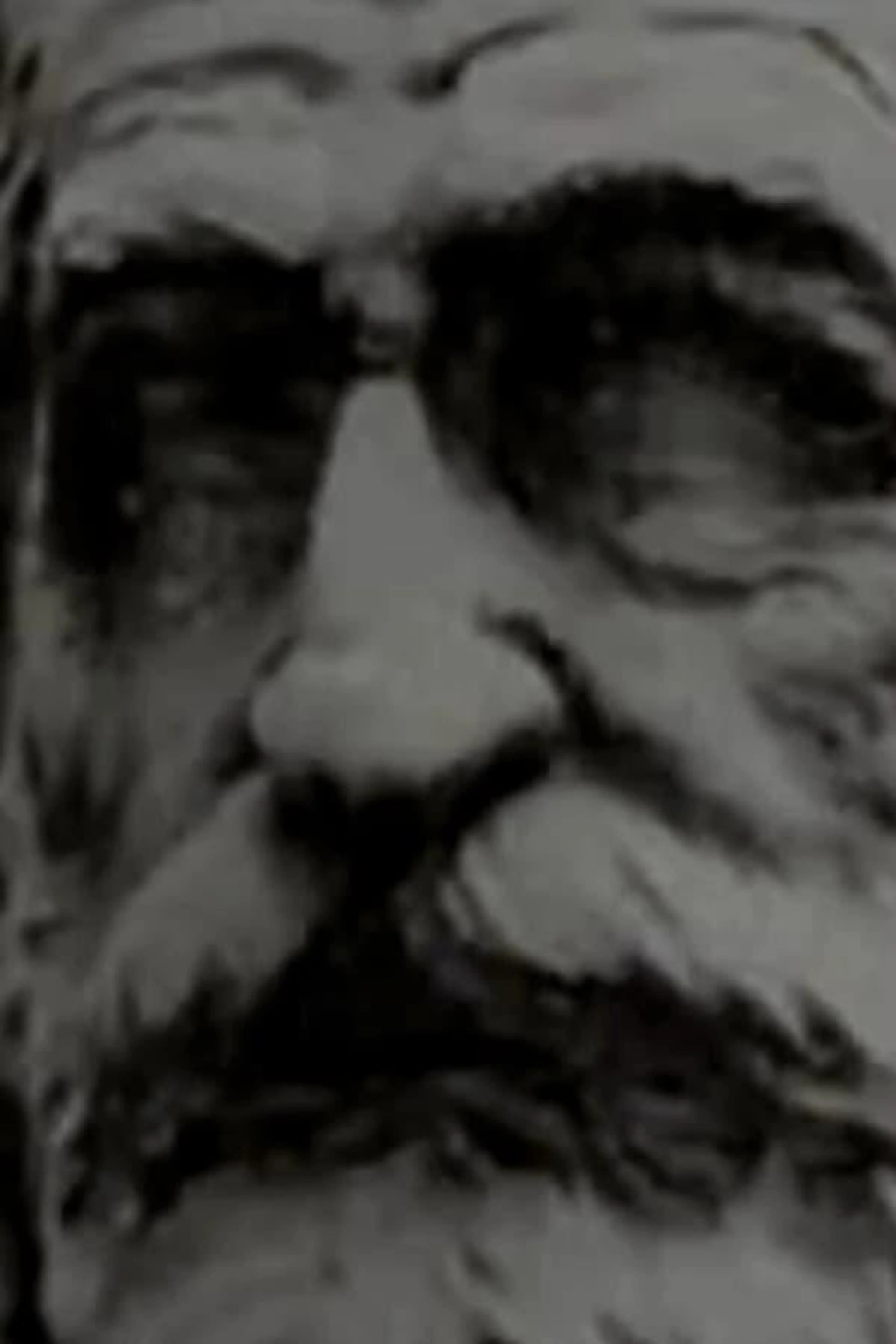 Di Verdi Si Muore
