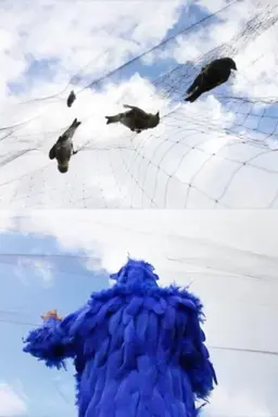 To See the Sky, Dance