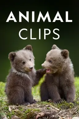 Animal Clips Season 1