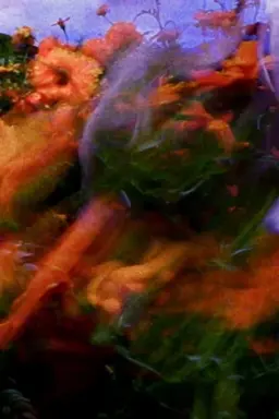Batalla