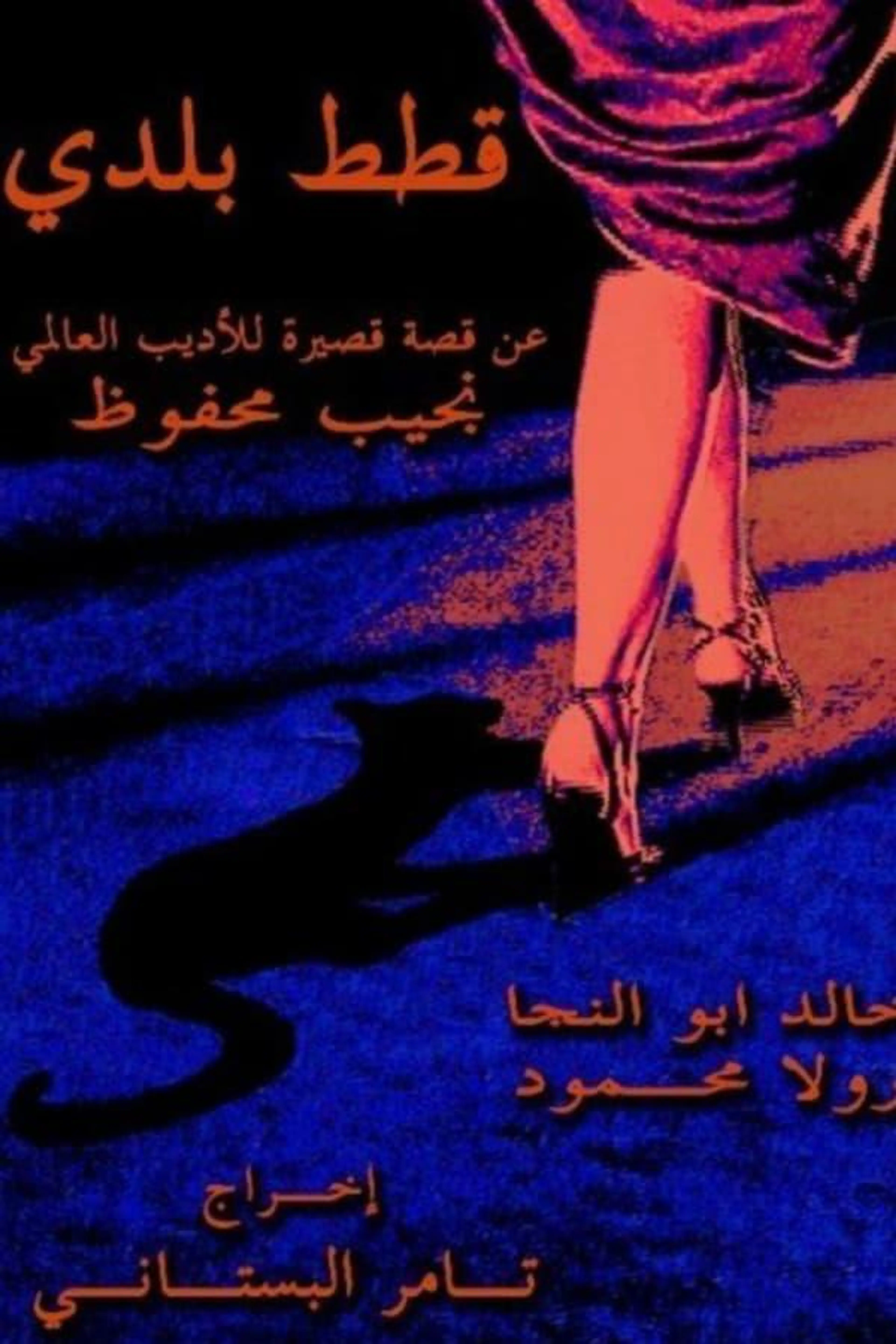 Stray Cats