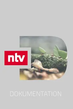 ntv Dokumentation Season 840