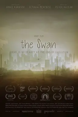 The Swan