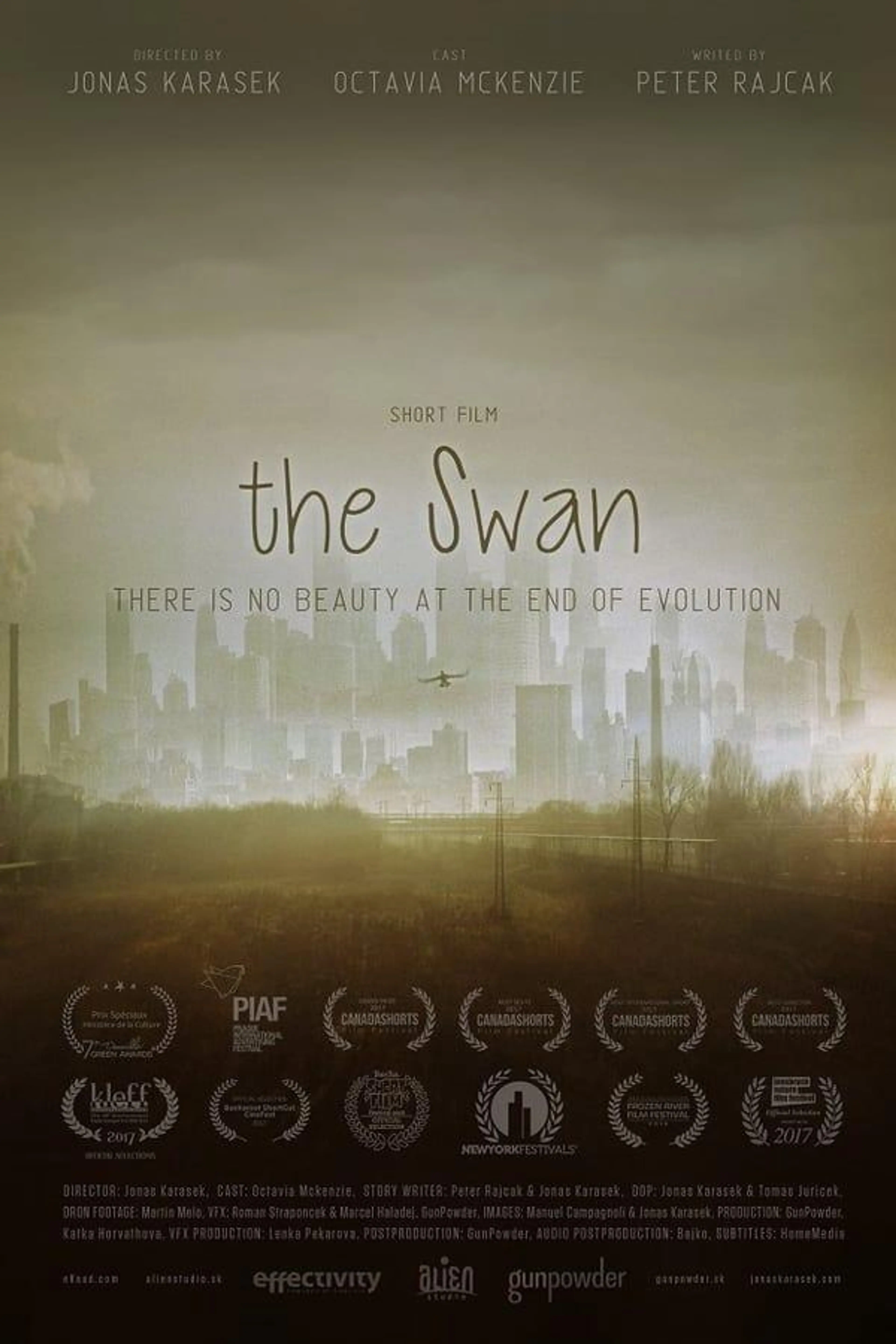 The Swan