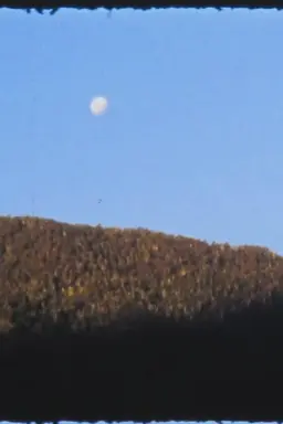 El Manso