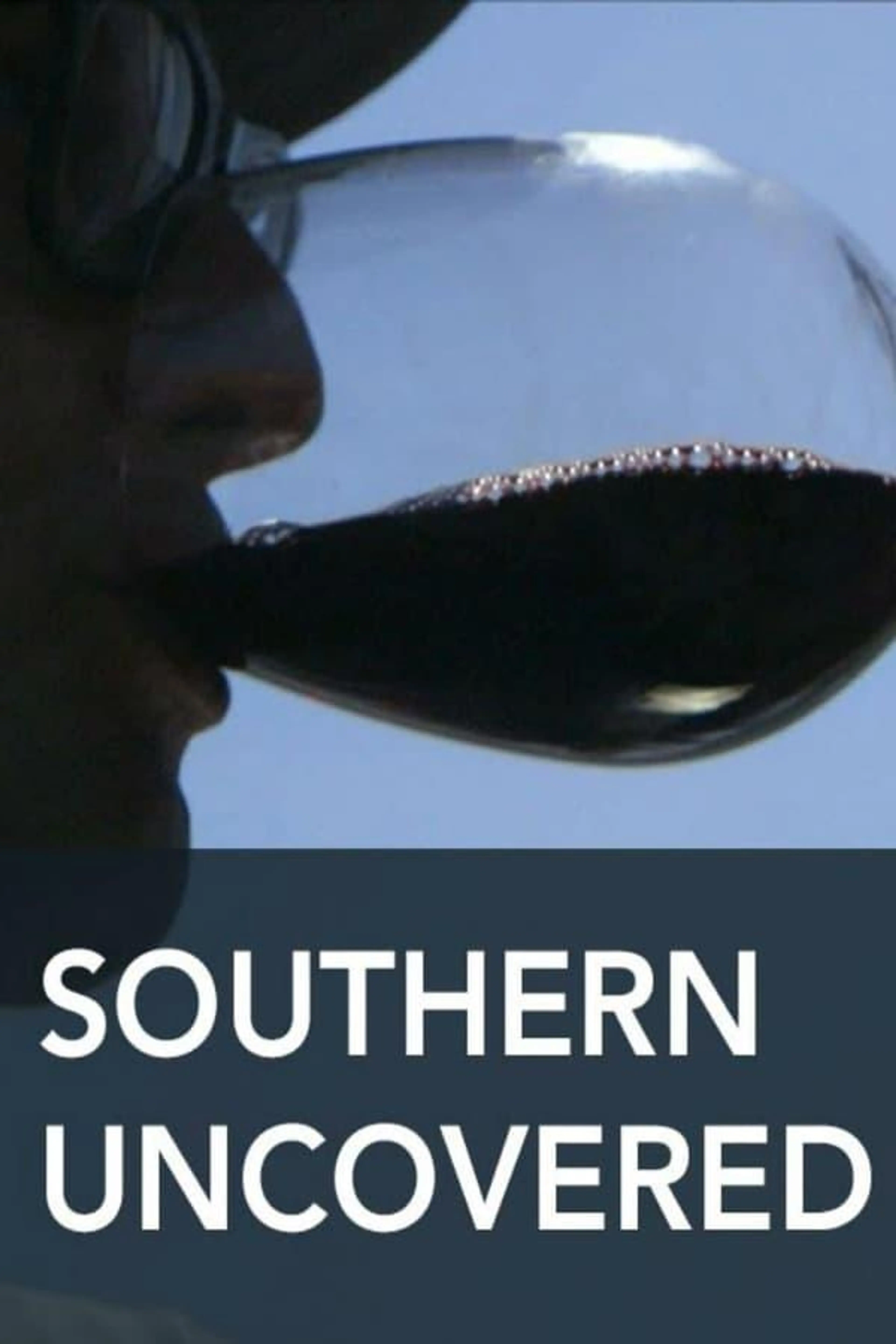 Southern Uncovered with the Lee Brothers Season 1