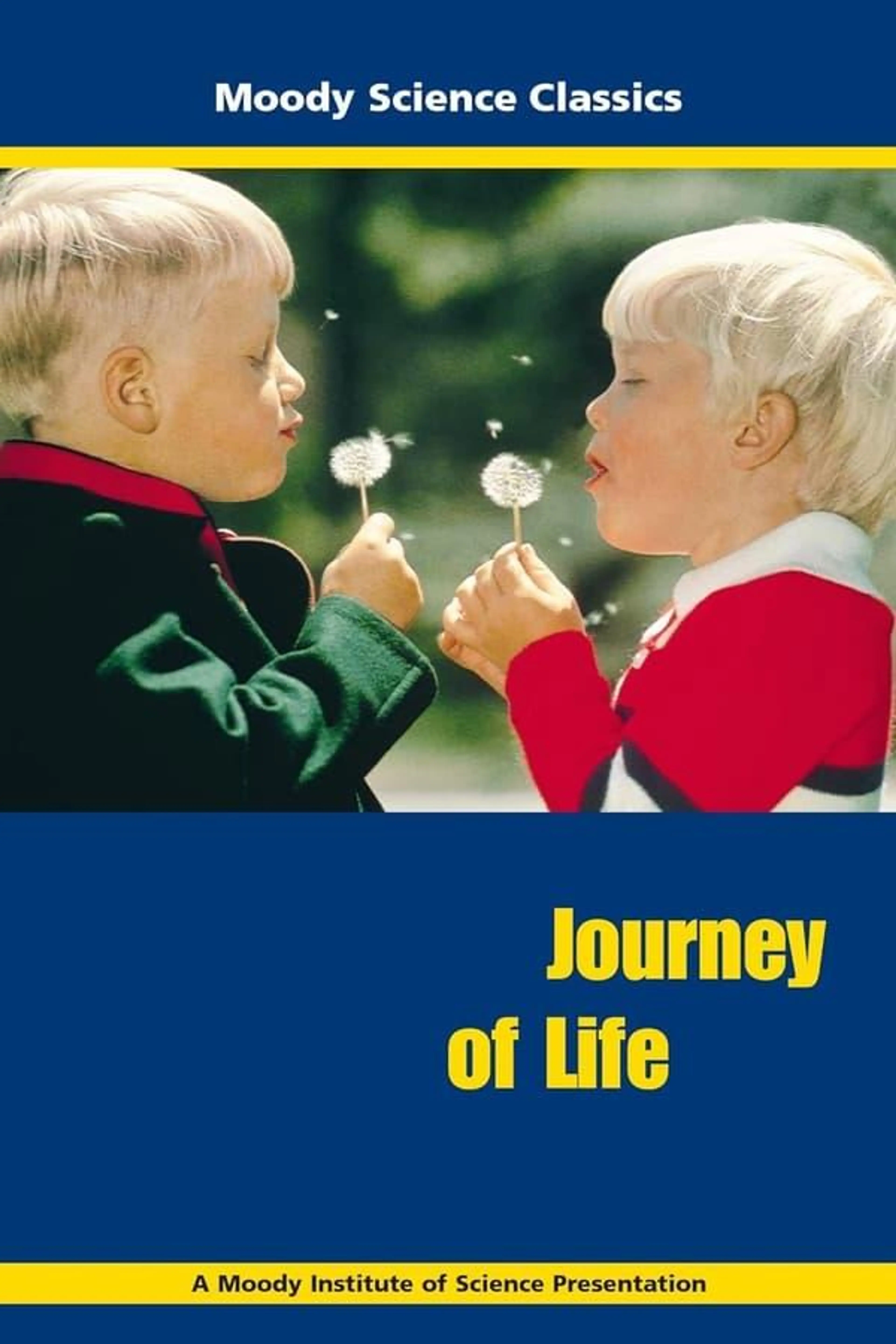 Journey of Life