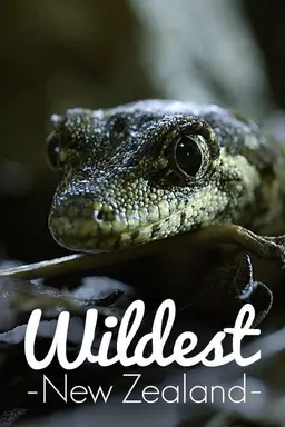 Wildest New Zealand Season 1