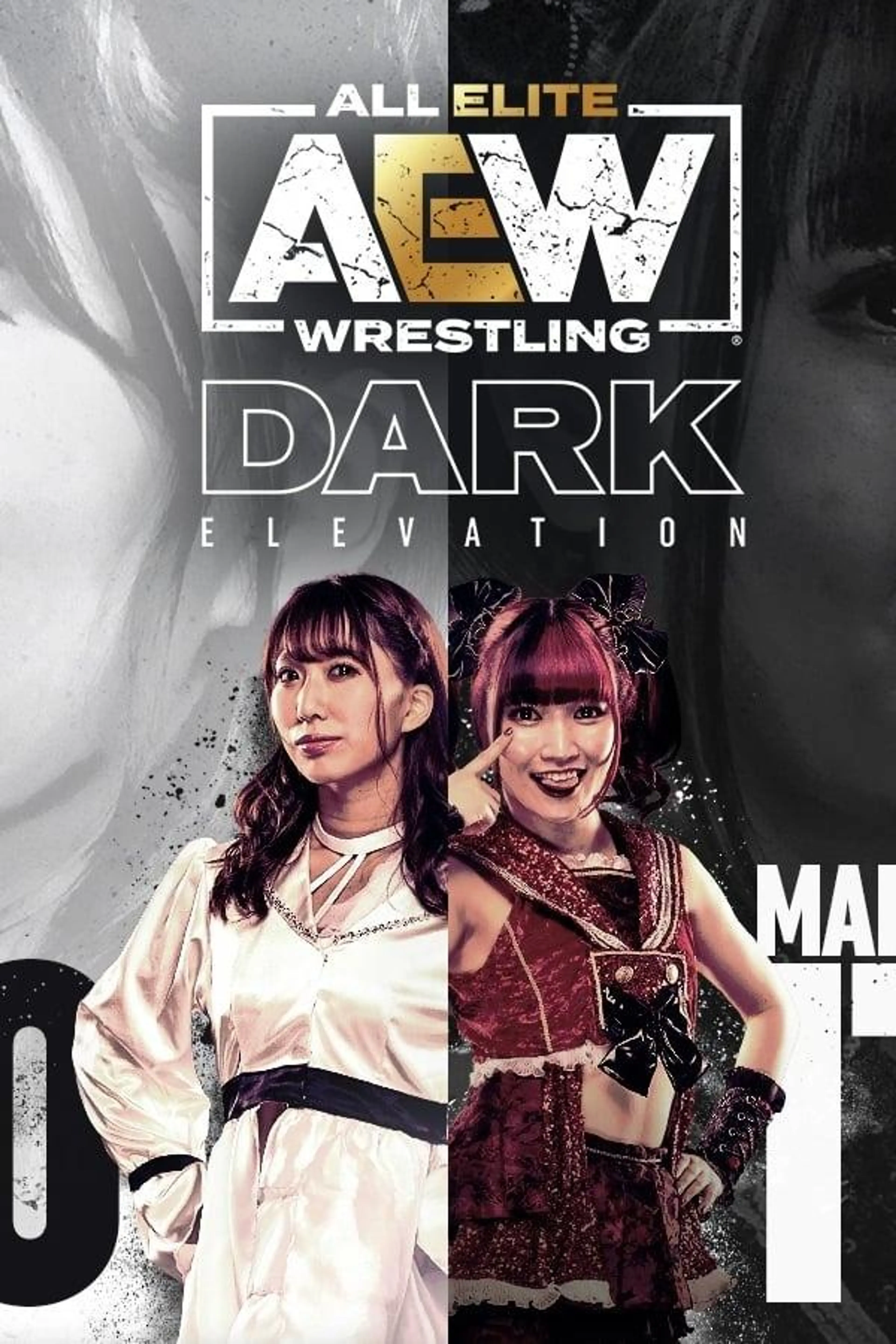 AEW Dark: Elevation Specials