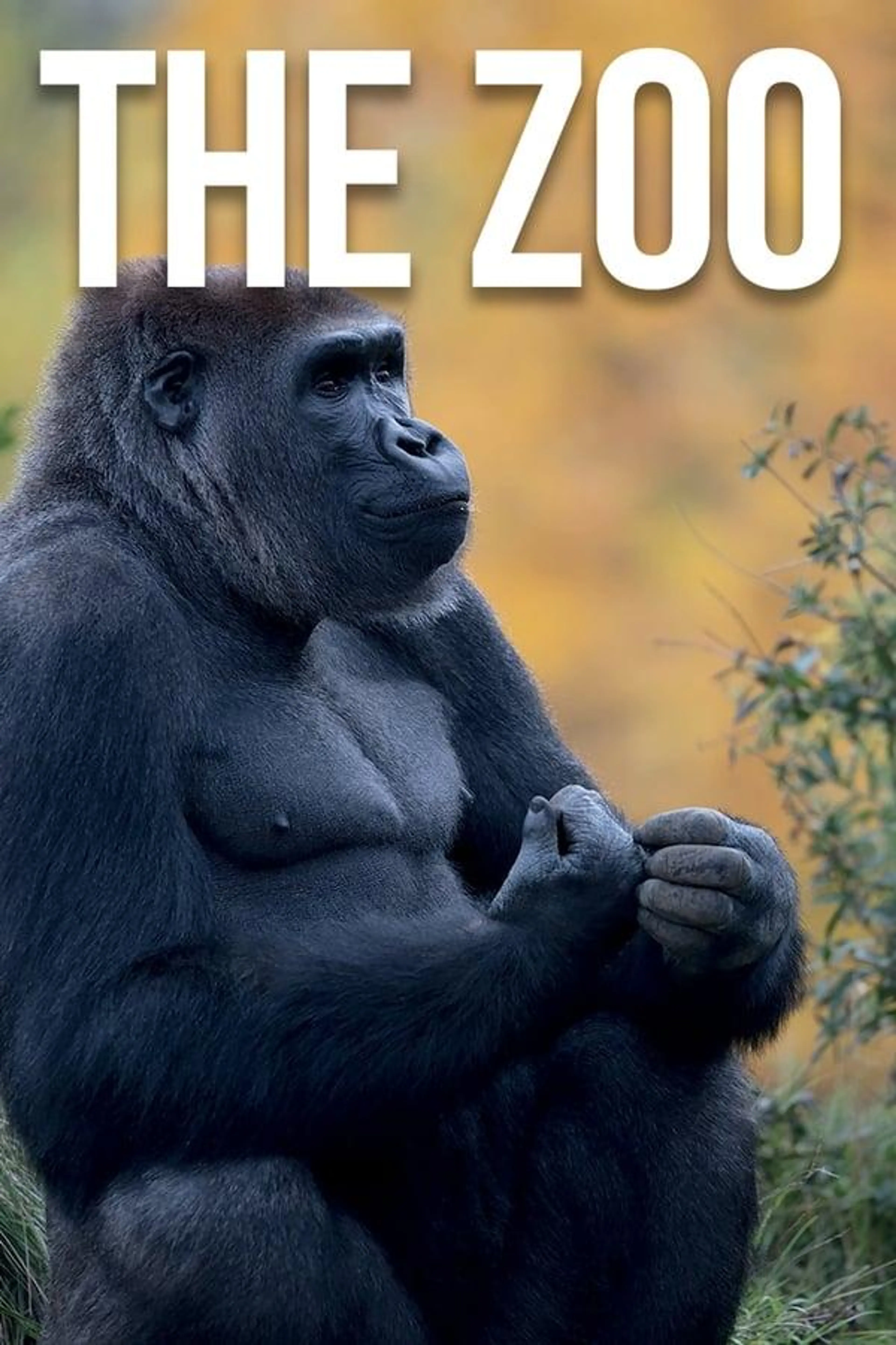 The Zoo Season 2