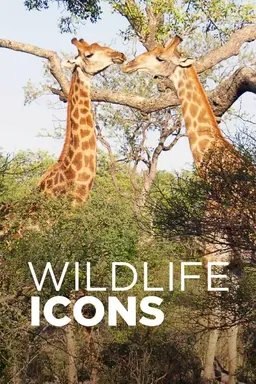 Wildlife Icons Season 2