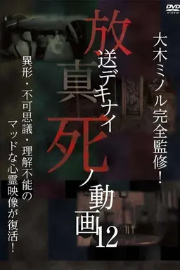 Hoso Dekinai Shi no Doga 12