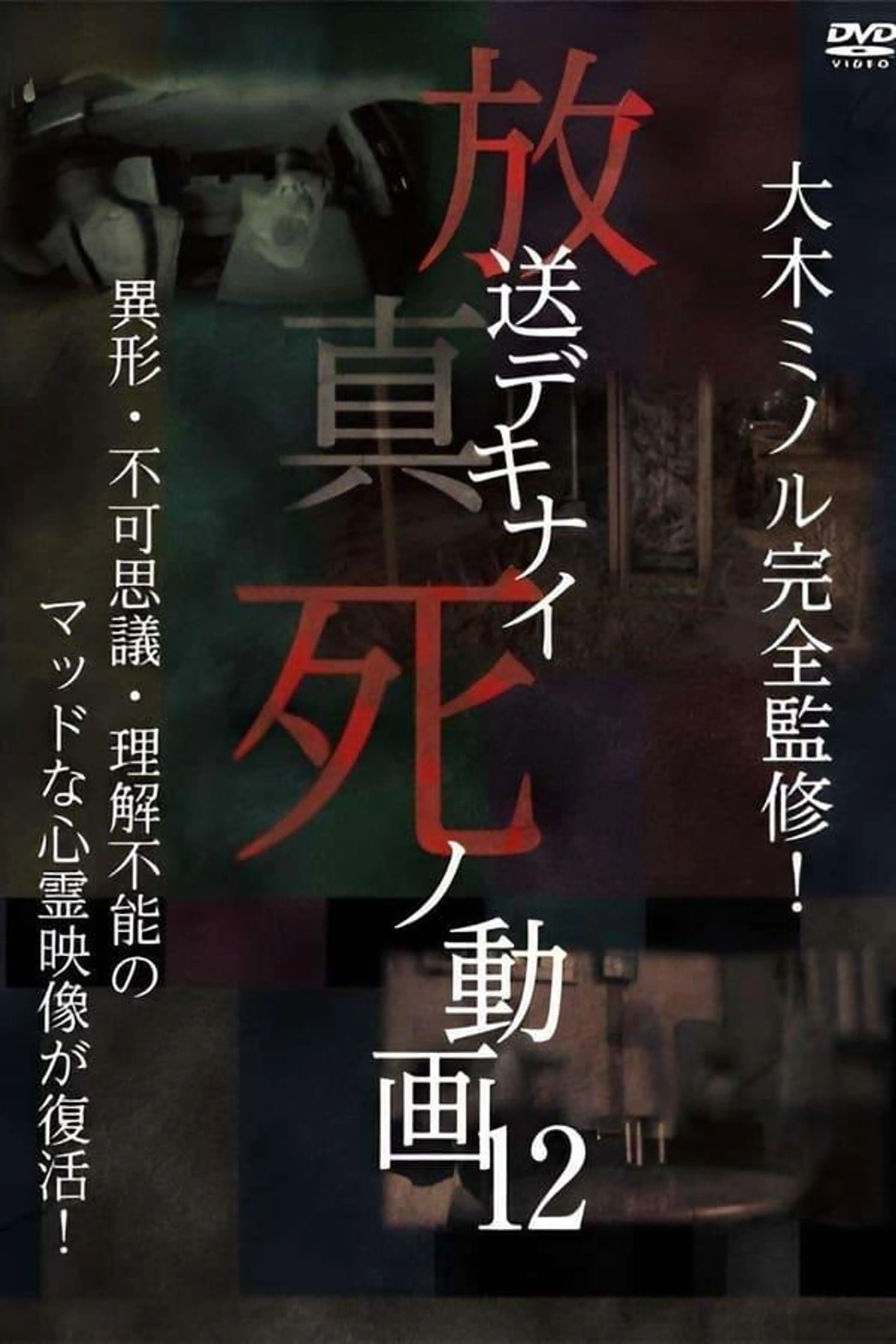 Hoso Dekinai Shi no Doga 12