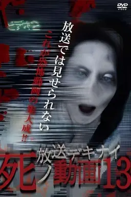 Hoso Dekinai Shi no Doga 13