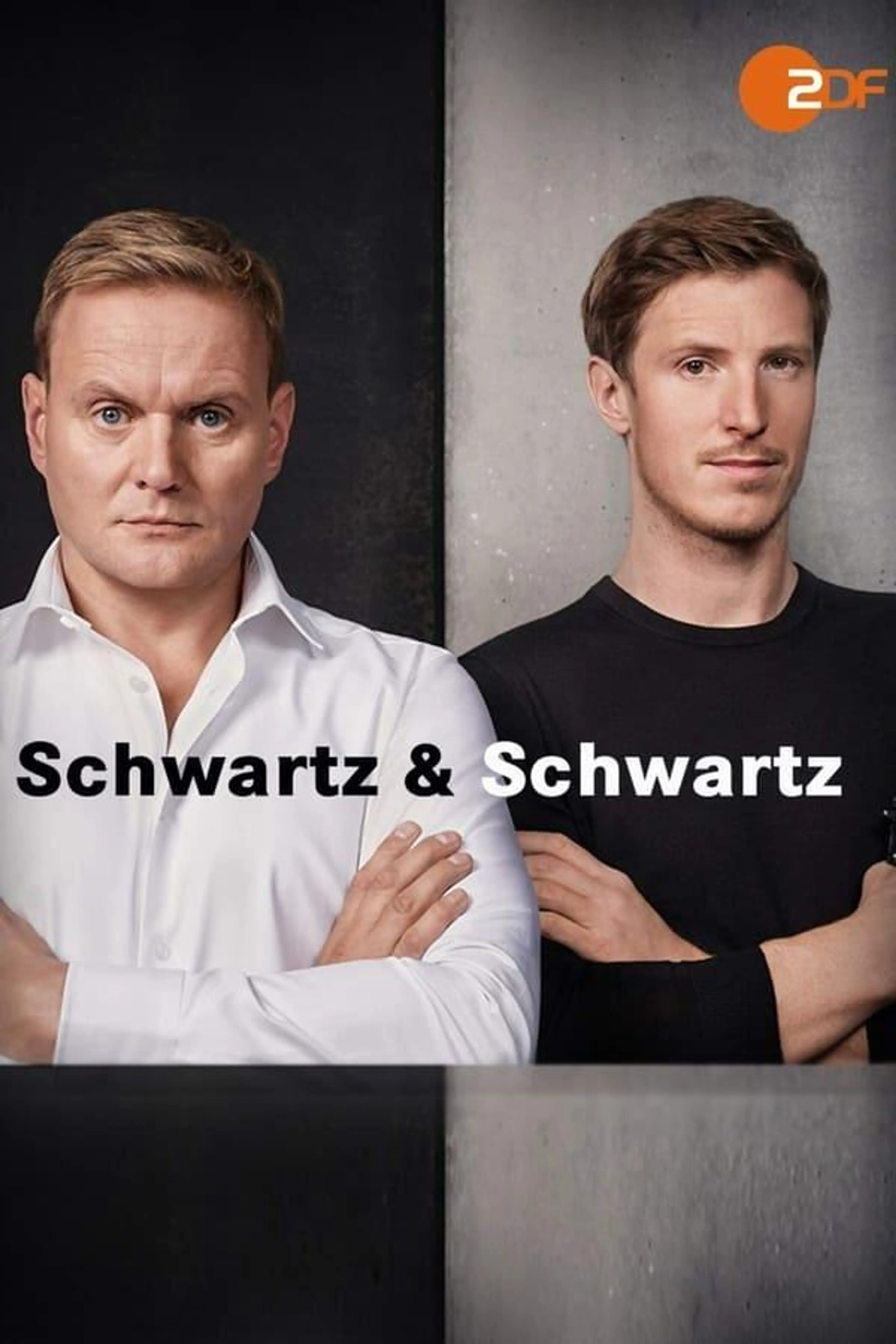 Schwartz & Schwartz Season 1