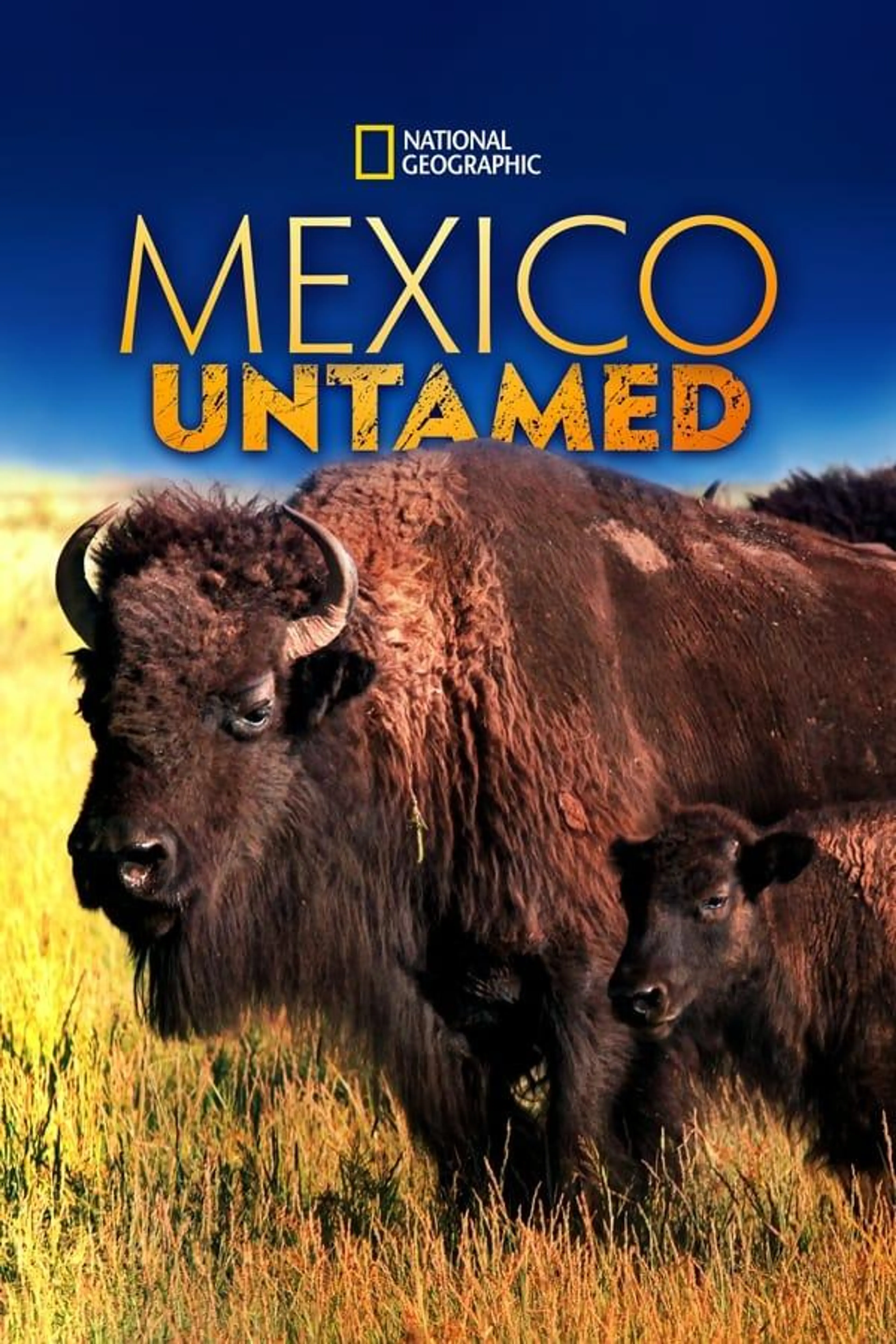 Mexico Untamed Season 1