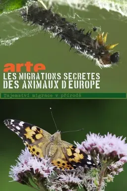 Secret Migrations Season 1