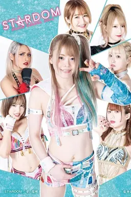Stardom on Stardom World 2012