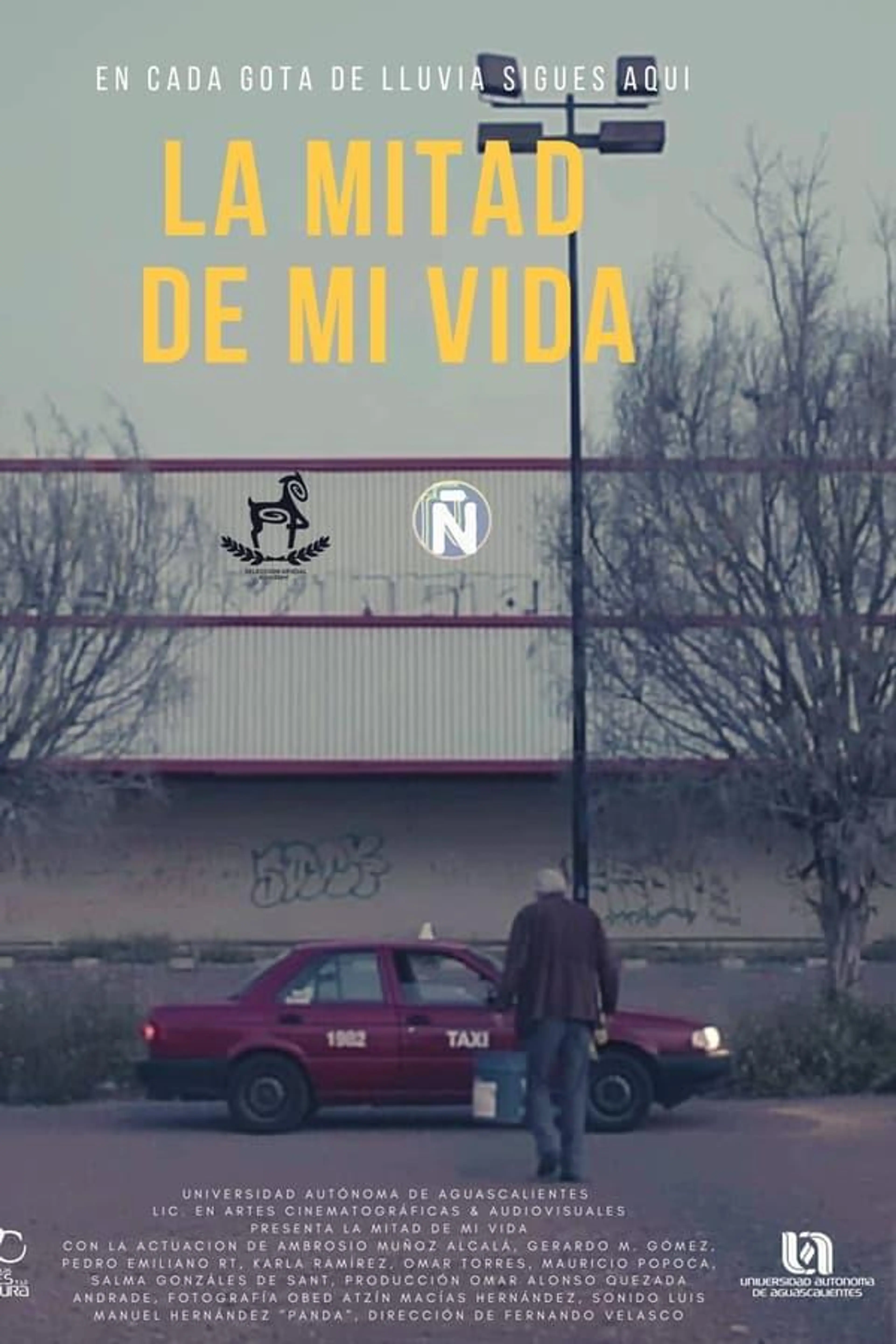 La Mitad De Mi Vida