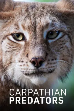 Carpathian Predators Season 1
