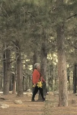 The Path