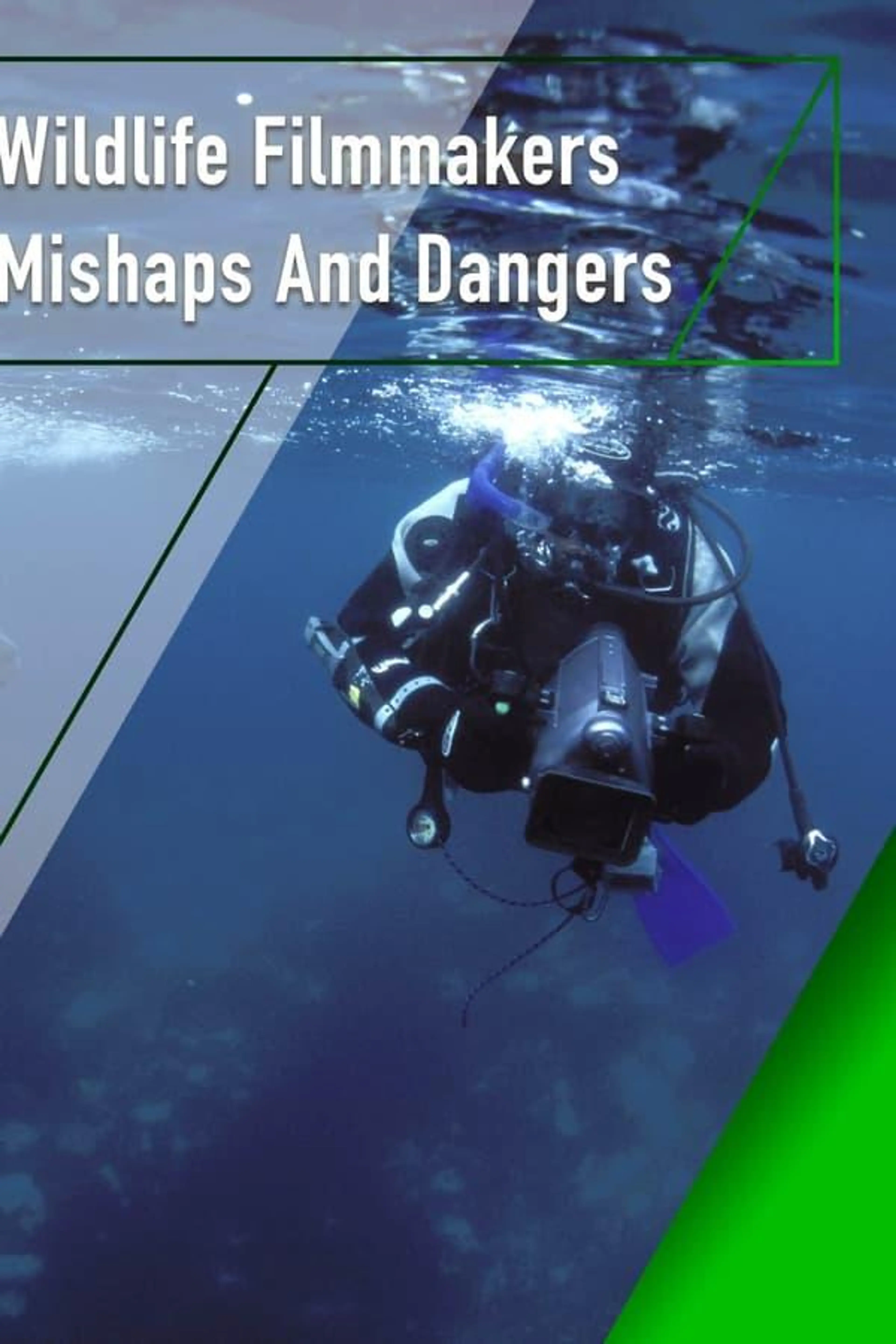 Wildlife Filmmakers: Mishaps and Dangers