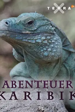 Abenteuer Karibik