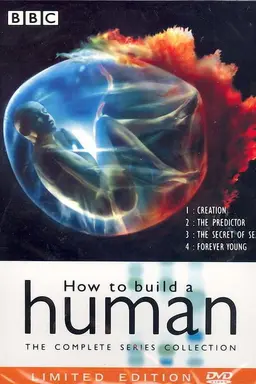 How to Build A Human Season 1