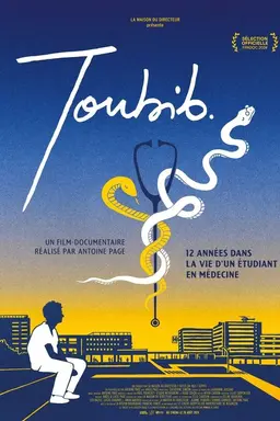 Toubib