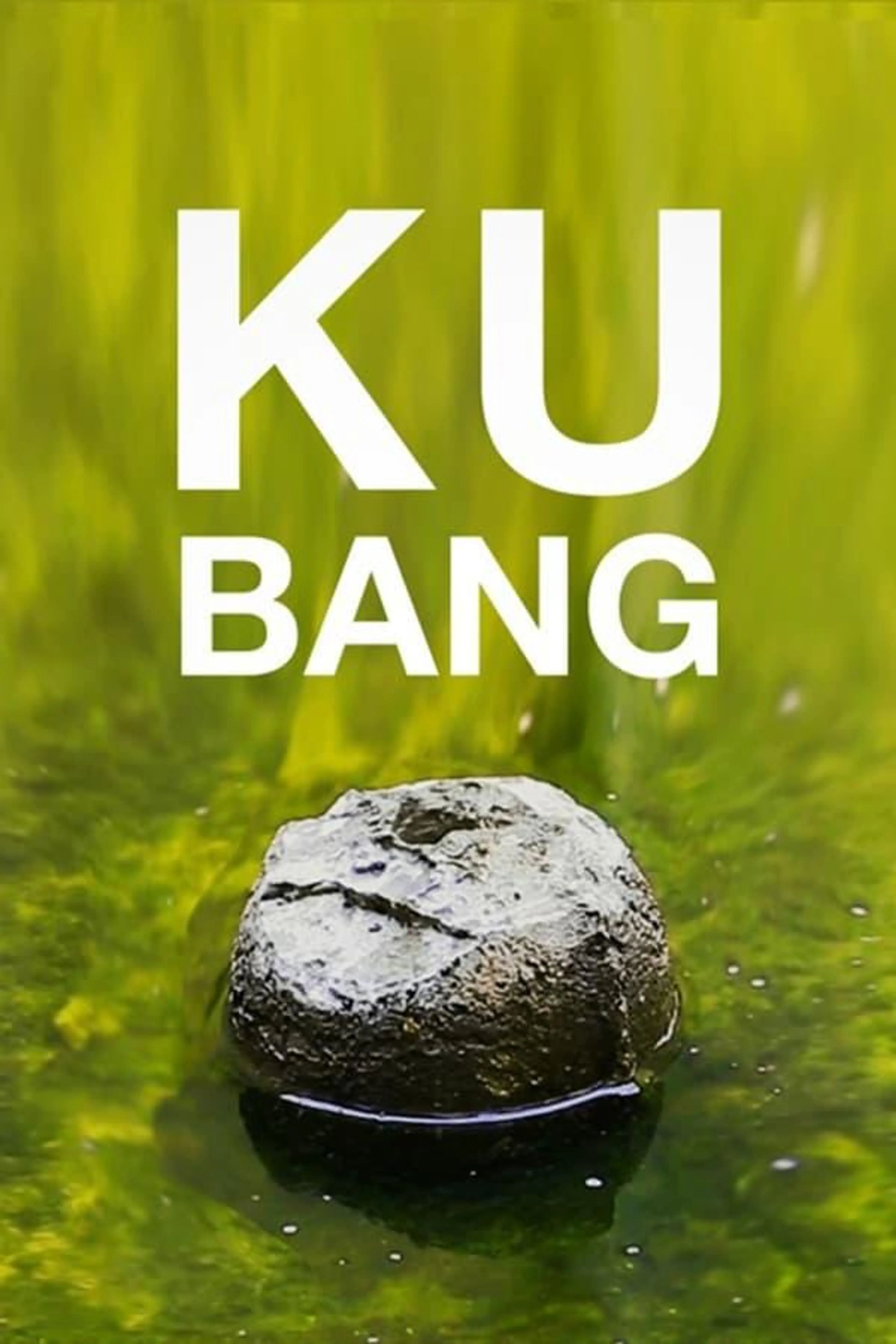 Kubang